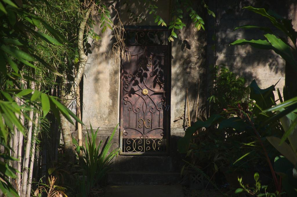 Taman Rahasia Tropical Sanctuary And Spa Ubud Eksteriør bilde